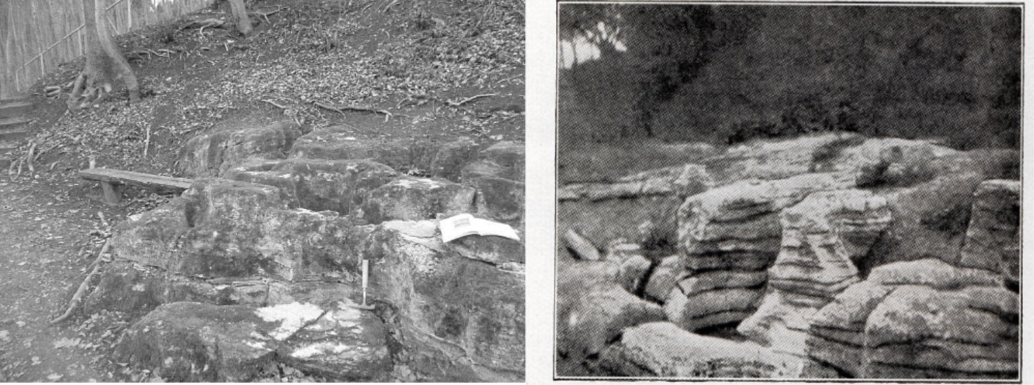 Montage der Aufnahmen von den GS 1, links C. Linde 2015, rechts E. Naumann 1908